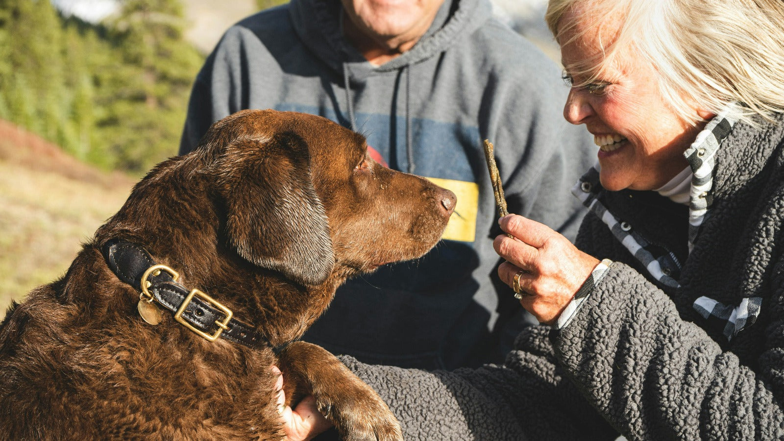 Empowering Pet Parents: A Guide for Caring for Incontinent Dogs