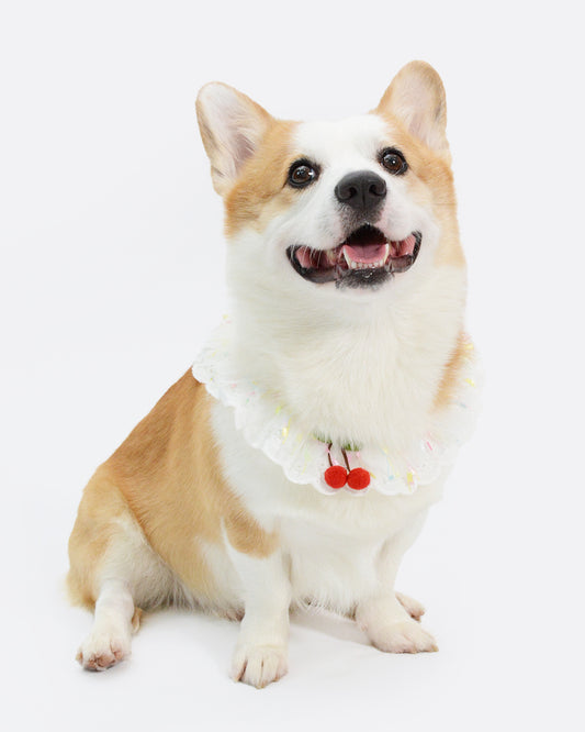 Cute lace ruffled hem dog bandana for medium dogs, such as corgis, Pomeranians,  bulldogs, etc.