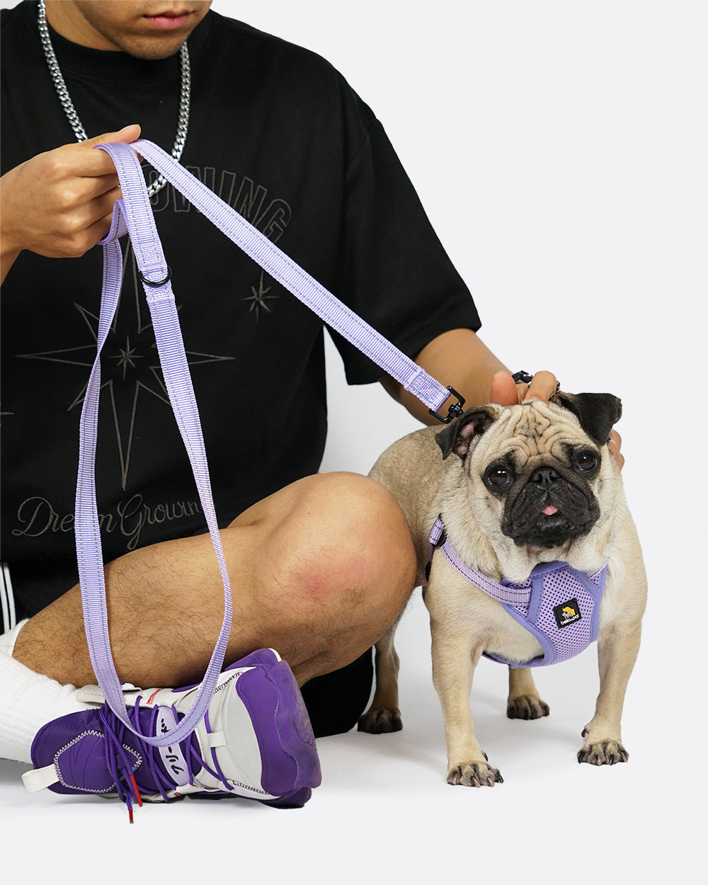 OxyMesh Flexi Step-in Harness and Leash Set - Lavender