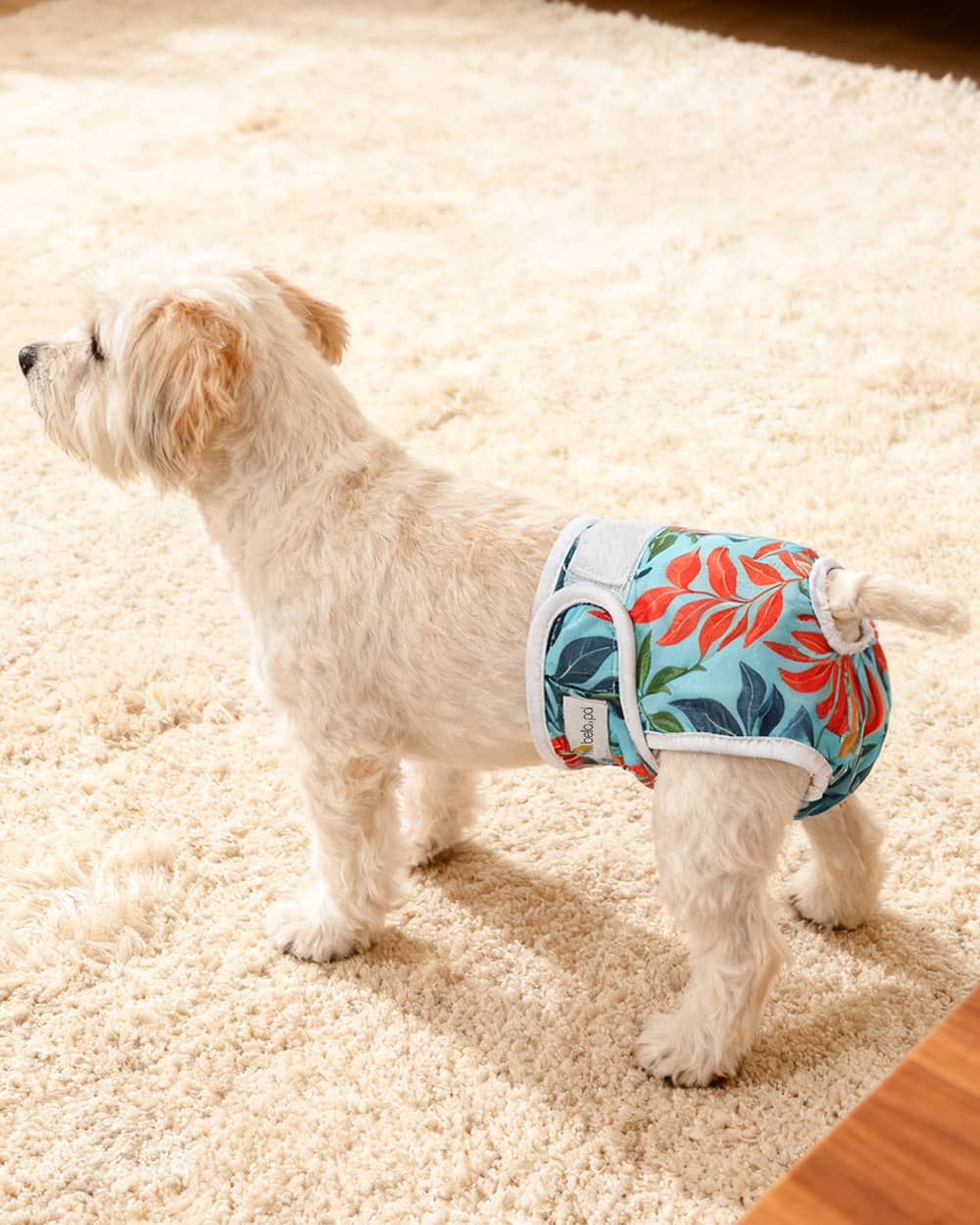 Washable Female Dog Diaper - Leafy Joy