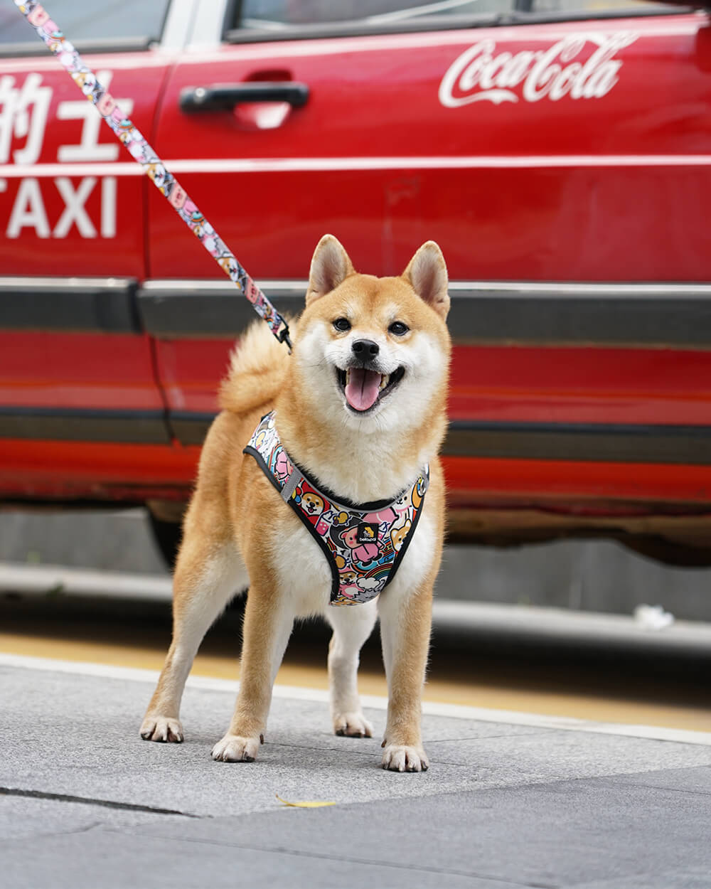 Bella & Pal × PJai & Friends OxyMesh Velcro Step-in Harness Set - Cuddle Club - stringsmall