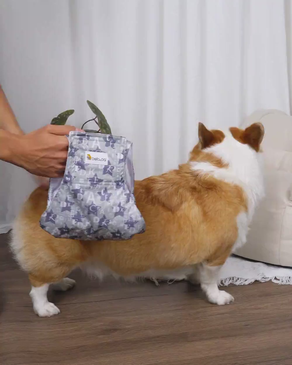 Bella & Pal × PJai & Friends Washable Male Dog Belly Band - Cool Boy